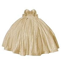 Sparkly Beaded Quinceanera Dresses Puffy Off Shoulder Tulle Sweet 16 Dresses Glitter Long Ball Gowns with Train