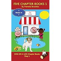 Five Chapter Books 1: Systematic Decodable Books for Phonics Readers and Folks with a Dyslexic Learning Style (DOG ON A LOG Chapter Book Collections) Five Chapter Books 1: Systematic Decodable Books for Phonics Readers and Folks with a Dyslexic Learning Style (DOG ON A LOG Chapter Book Collections) Paperback Kindle Hardcover
