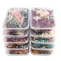 SANGDA Dry Plants for Aromatherapy Candle, 4 Box Premium Dried Pressed Leaves and Flowers Handmade DIY Dried Flowers for Resin Jewelry Pendant Crafts Floral Decoration