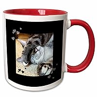 3dRose Cute Sleepy Paw Grey and White Tabby Cat Lovers Photo - Mugs (mug_242434_10)