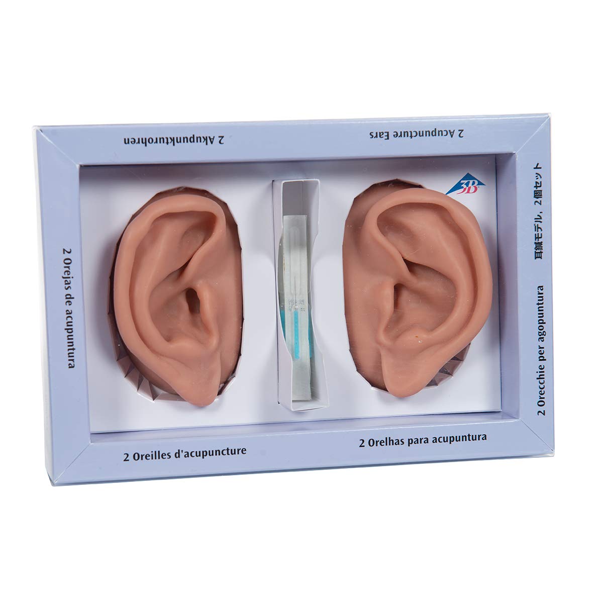 3B Scientific N15 Silicone 2 Acupuncture Ears Model, 3.7