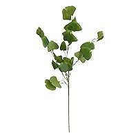 Ginko Artificial Greenery Stem, Fake Plants for Home Decoration, Set of 6