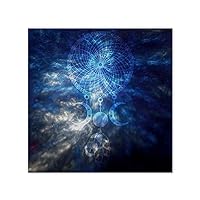 Boho Moon Dream Catcher Feather Canvas Wall Art Prints Tribal Bird Galaxy Family Wall Art Decorative Home Decor Picture for Living Room Bedroom Dining Room Cute Decoration Ready to Hang 12x12 Inch