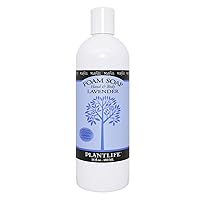 Plantlife Lavender Foam Soap Refill - Gentle, Moisturizing, Plant-based Foam Soap for All Skin Types - Ideal for use as a Hand & Body wash and Foaming Fun for Kids - Made in California 16 oz