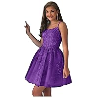 Purple Short Homecoming Dresses Appliques 2023 A-Line Tulle Prom Party Dress for Juniors 12