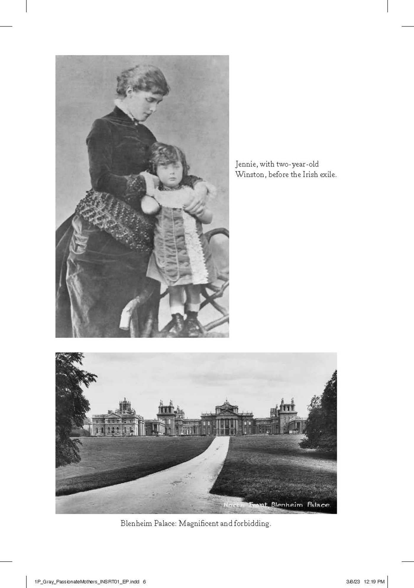 Passionate Mothers, Powerful Sons: The Lives of Jennie Jerome Churchill and Sara Delano Roosevelt