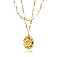 Panda Eyes Gold Layered Initial Necklaces for Women, 18K Gold Plated Initial Pendant Necklaces Paperclip Link Rope Chain Necklaces for Women Teen Girl Jewelry Gifts, Stainless Steel, 5a cubic zirconia