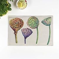 Set of 6 Placemats Lotus Dried Seed Pod Head Water Lily Indian Sacred 12.5x17 Inch Non-Slip Washable Place Mats for Dinner Parties Decor Kitchen Table