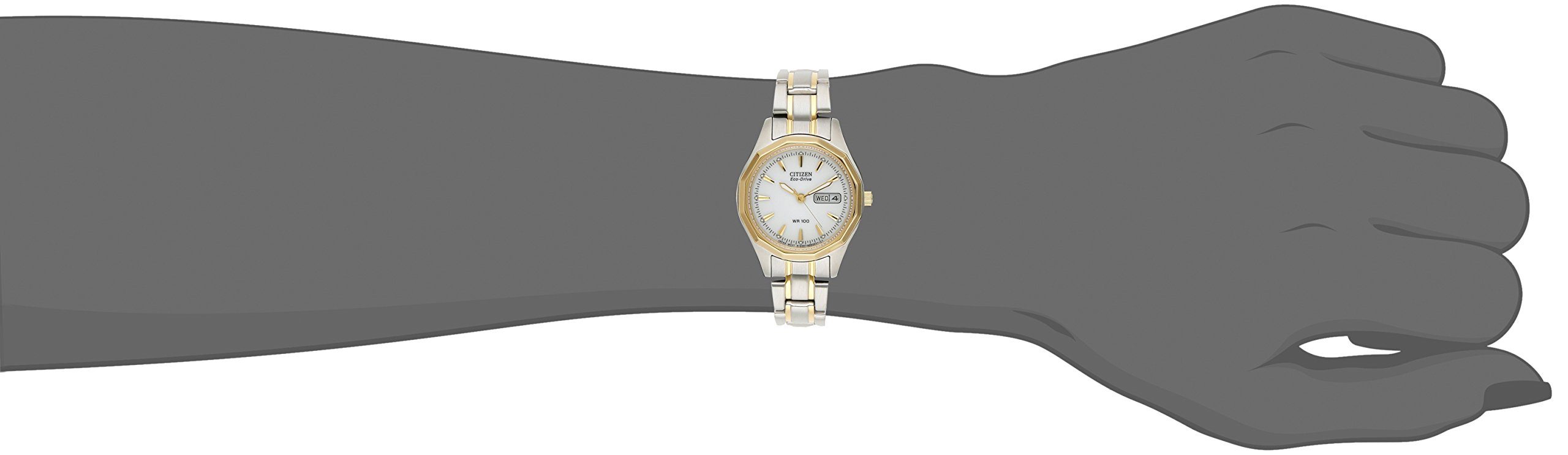 Citizen Women's Eco-Drive Dress Classic Watch in Two-tone Stainless Steel, White Dial (Model: EW3144-51A)
