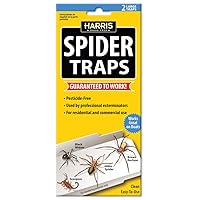 Harris Spider Glue Traps, Pesticide Free (2-Pack), Kills Brown Recluse, Hobo Spider, Black Widow and More