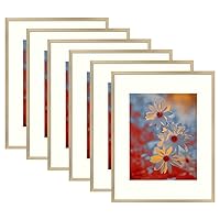 Golden State Art, 11x14 Picture Frame Gold Aluminum (Shiny Brushed) Display Pictures 8x10 with Mat or 11x14 Without Mat Wall Mounting Real Glass Metal Photo Frame (6-Pack)