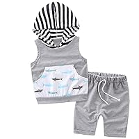 Newborn Baby Boys Infant 2pcs Stripe Sleeveless Hoodie + Shorts Clothing Sets Summer Outfits