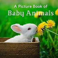 A Picture Book of Baby Animals: A Beautiful Picture Book for Seniors With Alzheimer’s or Dementia. (Picture Books For Seniors) A Picture Book of Baby Animals: A Beautiful Picture Book for Seniors With Alzheimer’s or Dementia. (Picture Books For Seniors) Paperback