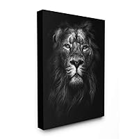 Stupell Industries King of The Jungle Lion in Shadows Black and White Photography Canvas Wall Art, 16 x 20, Multi-Color