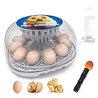 Egg Incubator with Automatic Egg Turning and Humidity Control Incubators for Hatching Eggs 12 Eggs Poultry Hatcher Fahrenheit Display Chicken Quail Duck Goose Eggs, Egg Candler Water Bottle