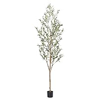 Faux Olive Tree 7ft，Olive Trees Artificial Indoor with Natural Wood Trunk and Realistic Leaves and Fruits. 7 Feet(84in) Fake Olive Tree for Home House Office Décor.