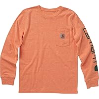 Carhartt Boys' Knit Long Sleeve Crewneck T-Shirt
