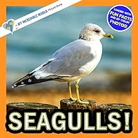 Seagulls!: A My Incredible World Picture Book for Children (My Incredible World: Nature and Animal Picture Books for Children)