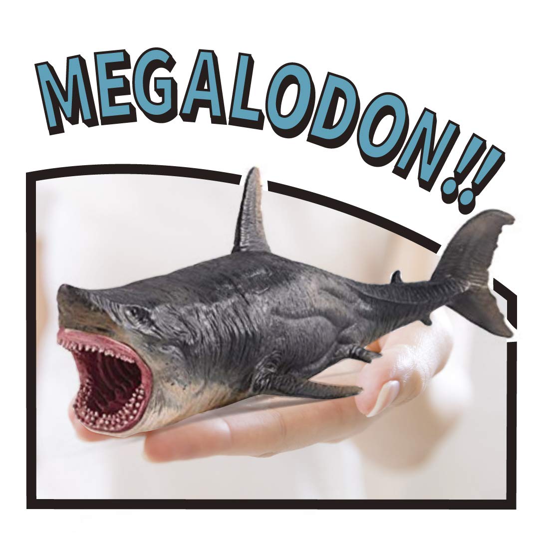 Mua UTST Shark Figurine, Megalodon, White Shark Shark Shark, Sea Life,  Kids, Gift, Prize, 6+ trên Amazon Nhật chính hãng 2023 | Giaonhan247