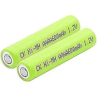 1.2V 600Mah Rechargeable Ni-Mh Batteries AAAA Am6 Lr61 for Mini Fan with Led Flashlight for Alarm Clock,2pcs