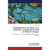 Segmentation of Optic Cup and Disc and Blood Vessels in Retinal Images: A Framework for Improving the Underlying Disease Diagnosis