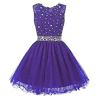 Women's Jewel Neck Lace Appliques Cocktail Dress with Crystal Beads Tulle Homecoming Dress