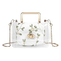 Linkidea Clear Shoulder Bag Purse, 2 in 1 Transparent Crossbody Bag Jelly Handbag, Polyvinyl Chloride Top Handle Chain Clutch for Women (Not Compatible with Phones)