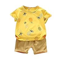 Size 6t Boy Outfits T-Shirt Toddler Boys Fruit Casual Sports Set Summer Pineapple Short Baby (Yellow, 0-6 Months)