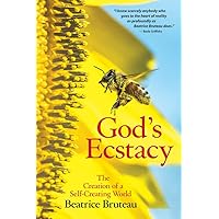 God's Ecstasy: The Creation of a Self-Creating World God's Ecstasy: The Creation of a Self-Creating World Paperback
