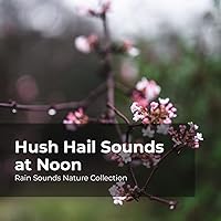 Hush Hail Sounds at Noon Hush Hail Sounds at Noon MP3 Music