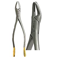 Dental Extracting Extraction Serrated Forceps #150, for Upper Bicuspid, Upper Cuspid, Upper Incisor, Upper Root, Premium Quality Gold Handle, Stainless Steel…