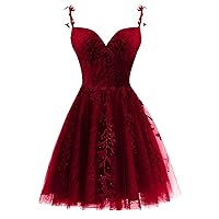 Tulle Homecoming Dresses for Teens 2023 Spaghetti Strap Lace Applique Short Prom Dress Mini Cocktail Gown