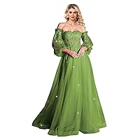 Long Sleeve Tulle Prom Dress for Women Puffy Lace Applique Sparkly Fomrmal Evening Gowns Corset Wedding Dress