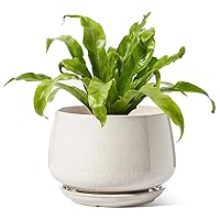 LE TAUCI Ceramic Planters, 10 Inch Pots for Plants, Indoor Plant Pots with Drainage Holes and Saucers, Modern Planters Fit Mid Century Plant Stand, Flower Pots for Indoor Plants, Reactive Glaze Beige