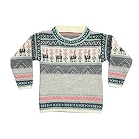 Alpaca Kids Sweater Toddler Boys Girls Long Sleeve