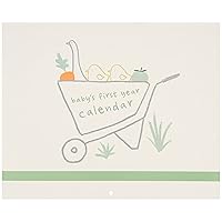 Carter's BA3-24958 Homegrown Baby's First Year Calendar with Stickers, 11.2