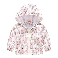 Toddler Boys Girls Windbreaker Dinosaurs Print Casual Outerwear Lightweight Zip Hooded Jacket Summer Dust Coat