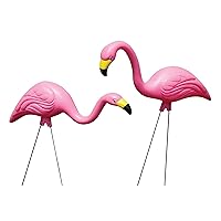 Pink Flamingo 25