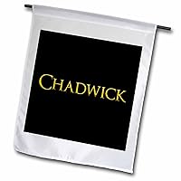 3dRose Chadwick popular baby boy name in America. Yellow on black amulet - Flags (fl_355711_1)