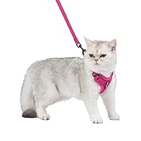Voyager Step-in Lock Cat Harness w Reflective Cat Leash Combo Set with Neoprene Handle 5ft - Supports Small, Medium and Large Breed Cats by Best Pet Supplies - Fuchsia, XXXS