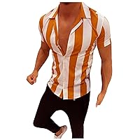 Men's Striped Short Sleeve Regular Fit Poplin Button Down Shirts