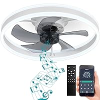 DewShrimp Flush Mount Ceiling Fan with Lights Bladeless Ceiling Fan with Bluetooth Speaker App and Remote Control Low Profile Ceiling Fan LED Stepless Dimming 3 Colors 6 Speeds Reversible 19.8