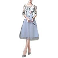 Women's Floral Embroidered Prom Party Mesh Short Dress
