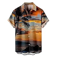 Workout Shirts for Men Fashion Short Sleeve Casual Printing Hawaiian Shirt Blouse T Shirt Cotton T Shirts for Men