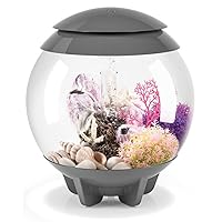 biOrb Halo 15 Acrylic 4-Gallon Aquarium with Multi-Color Remote-Controlled LED Lights Modern Compact Tank for Tabletop or Desktop Display, Gray