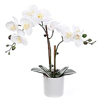 Artificial Phalaenopsis Orchids Flowers with White Vase, Tall Real Touch Arrangements for Home, Dining Room, Living Room, Office, Hotel, Centerpiece Decoration, Beautiful Gift (White)