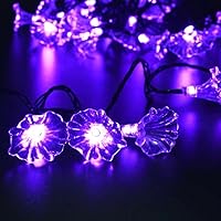Solar Morning Glory Fairy String Lights, 15.7ft/4.8m 30 LED Flower Lights Waterproof String Lights for Gardens Homes Wedding Christmas Party Holiday Decorations (Purple)