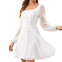 Spring Dresses for Women 2024 Square Neck Sheer Long Sleeve Dress Solid Slim Fit Flowy Jacquard Short Dress Mini Dress
