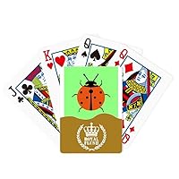 Seven Star Ladybug Animated Pest Insect Royal Flush Poker Playing Card Game