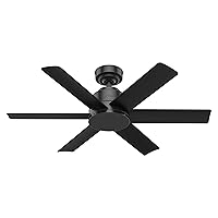 Hunter Fan Company 59613 Hunter Kennicott Indoor, Outdoor Ceiling Fan with Wall Control, 44, Matte Black Finish